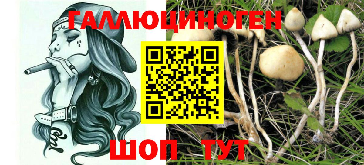 Галлюциногенные грибы Psilocybe  Псилоцибиновые грибы Cubensis  Архангельск  Вход с VPN 