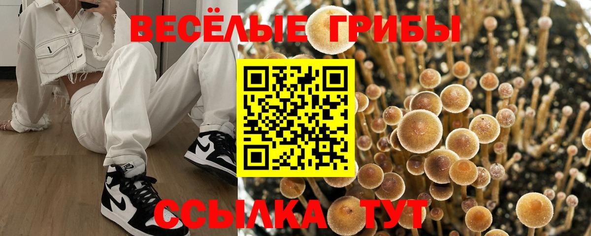 Галлюциногенные грибы мицелий Архангельск